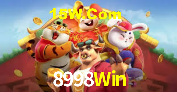 Premium Interface 8998Win